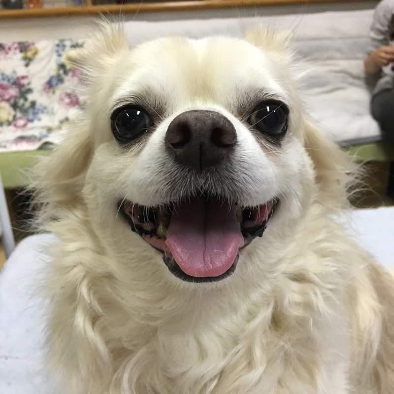 新年明けましておめでとうございます🎍本年もどうぞよろしくお願いいたします🐾